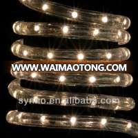 13mm 2 wires 36leds/m 12v car led rope light